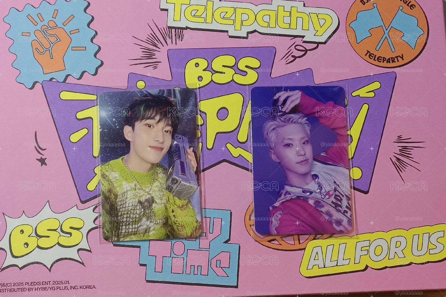 teleparty粉版全專