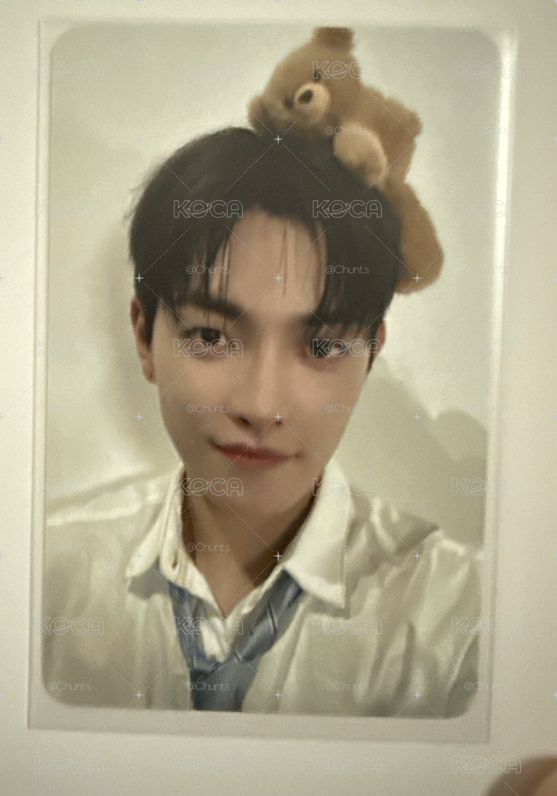 中🐻