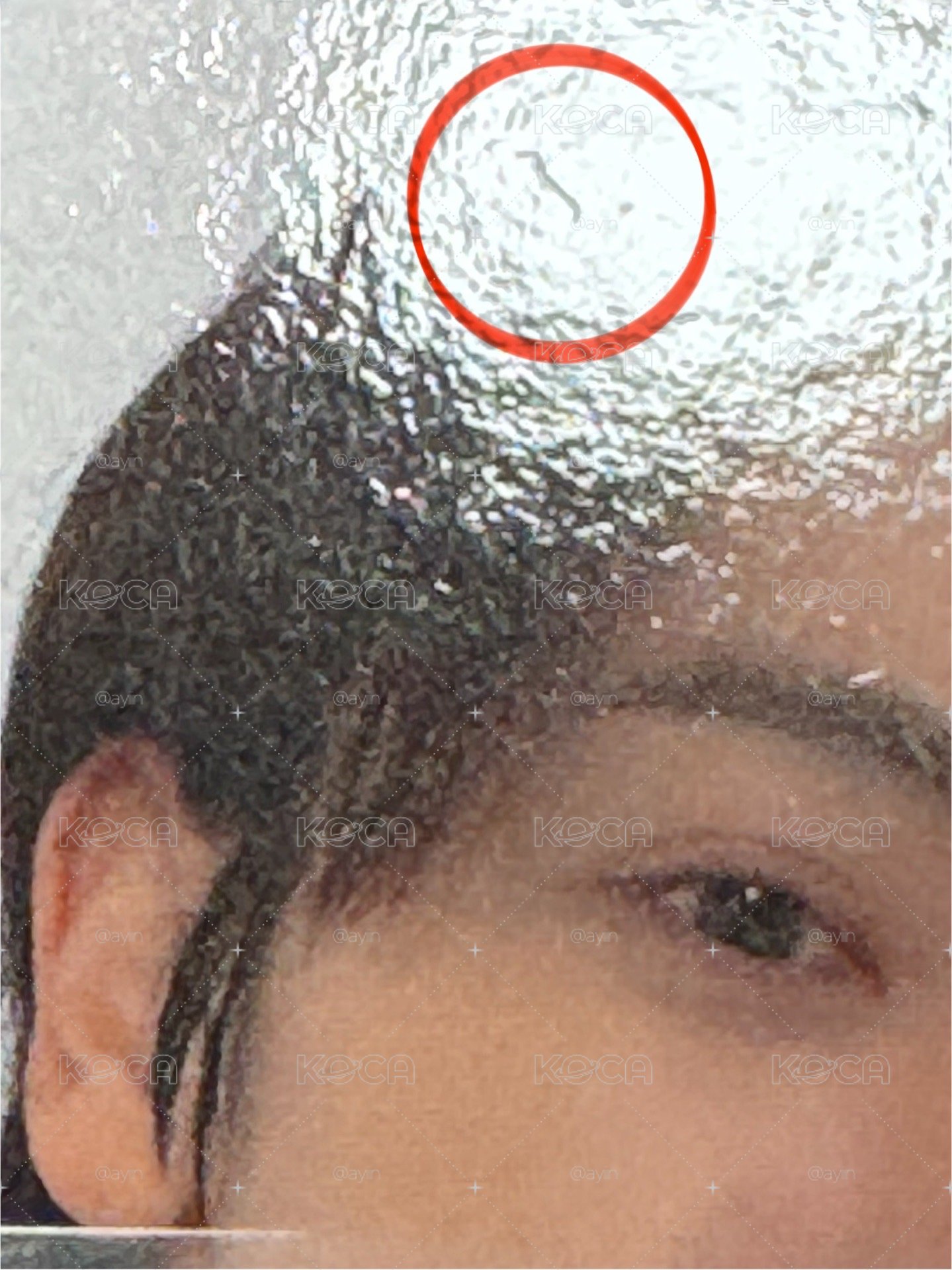 東海玫瑰卡（小損看圖二）
