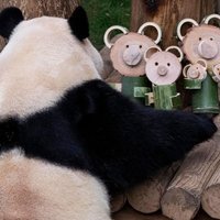 收我物的都是再生父母