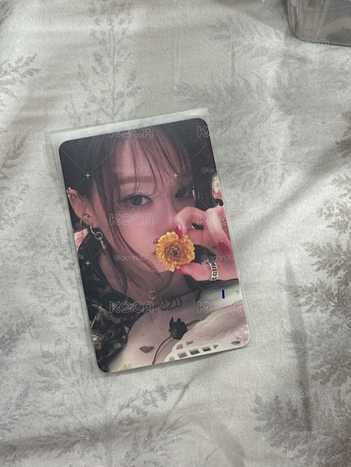 冬專卡 美網