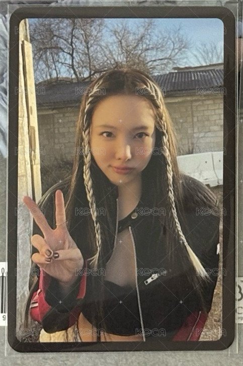 迷12預售