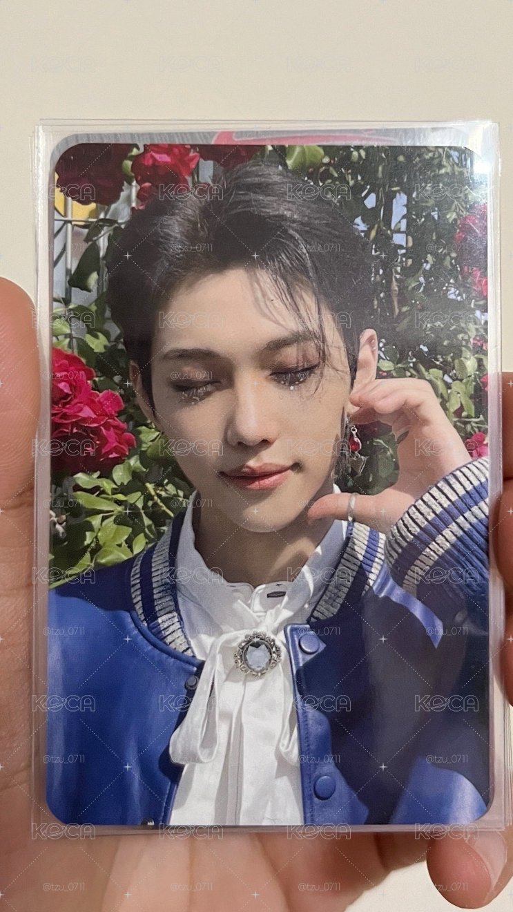 睡美人菲