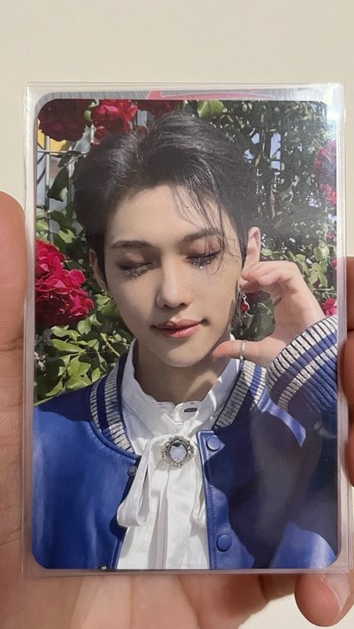 睡美人菲