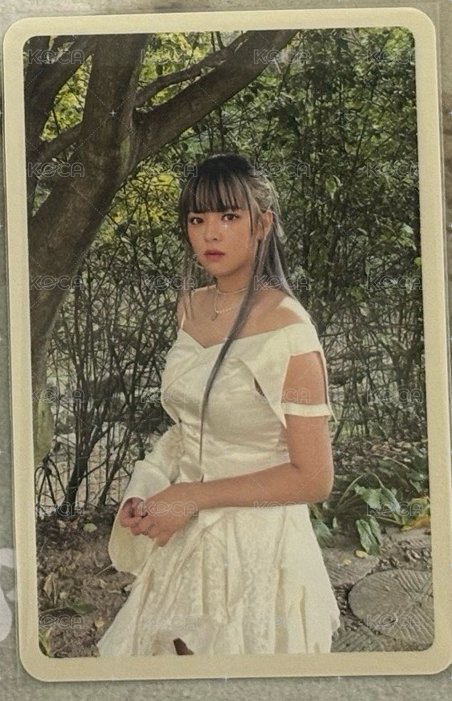 迷13預售2️⃣