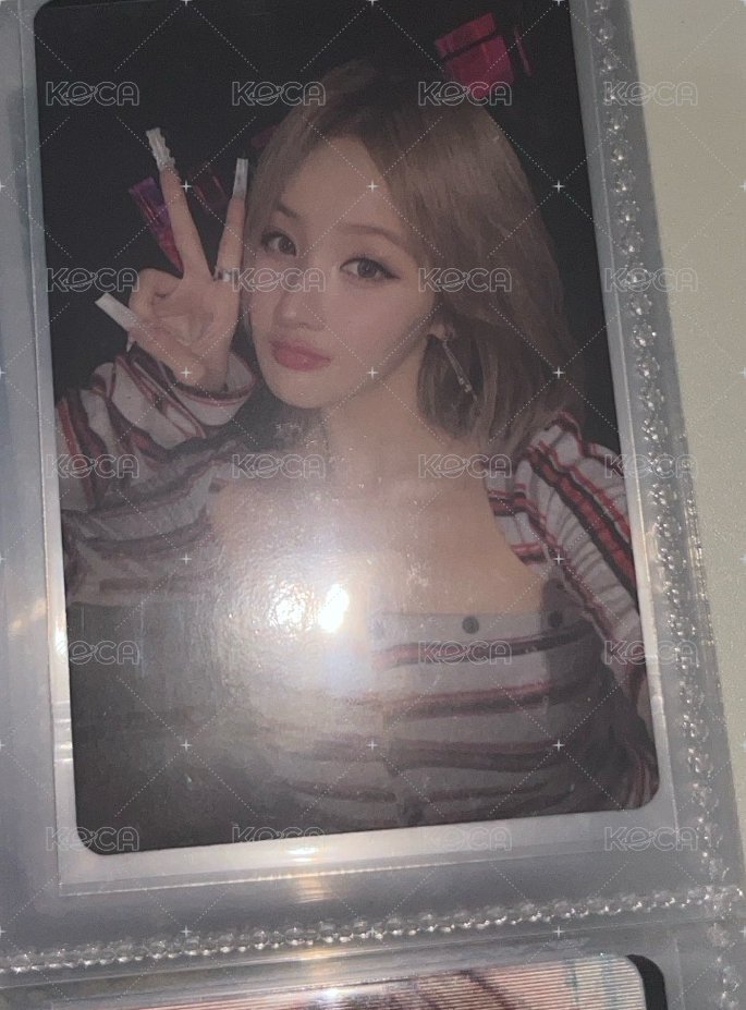 BELLE 專卡