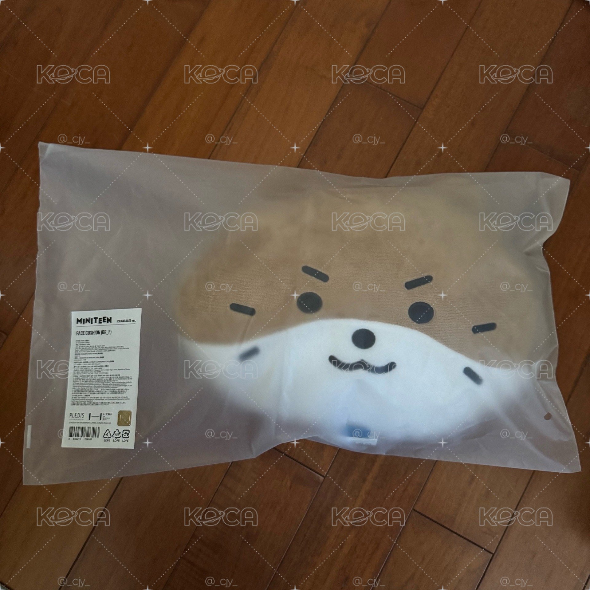 MINITEEN 燦抱枕（直出現貨在台）