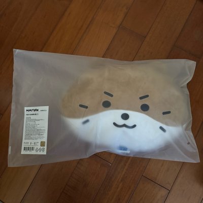 李燦抱枕（直出現貨在台）