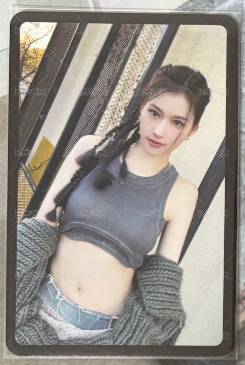 迷12預售