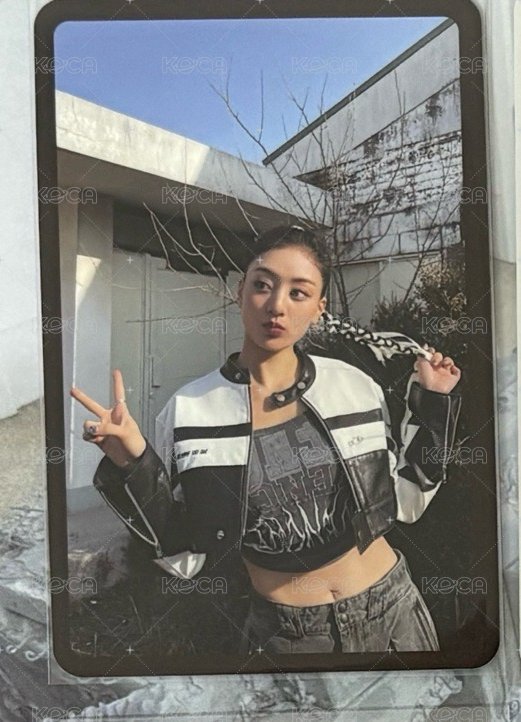 迷12預售