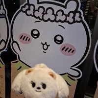 chun（現貨三天內寄出）