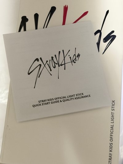 （現貨 紙箱寄出 一日寄出）straykids skz 一代手燈