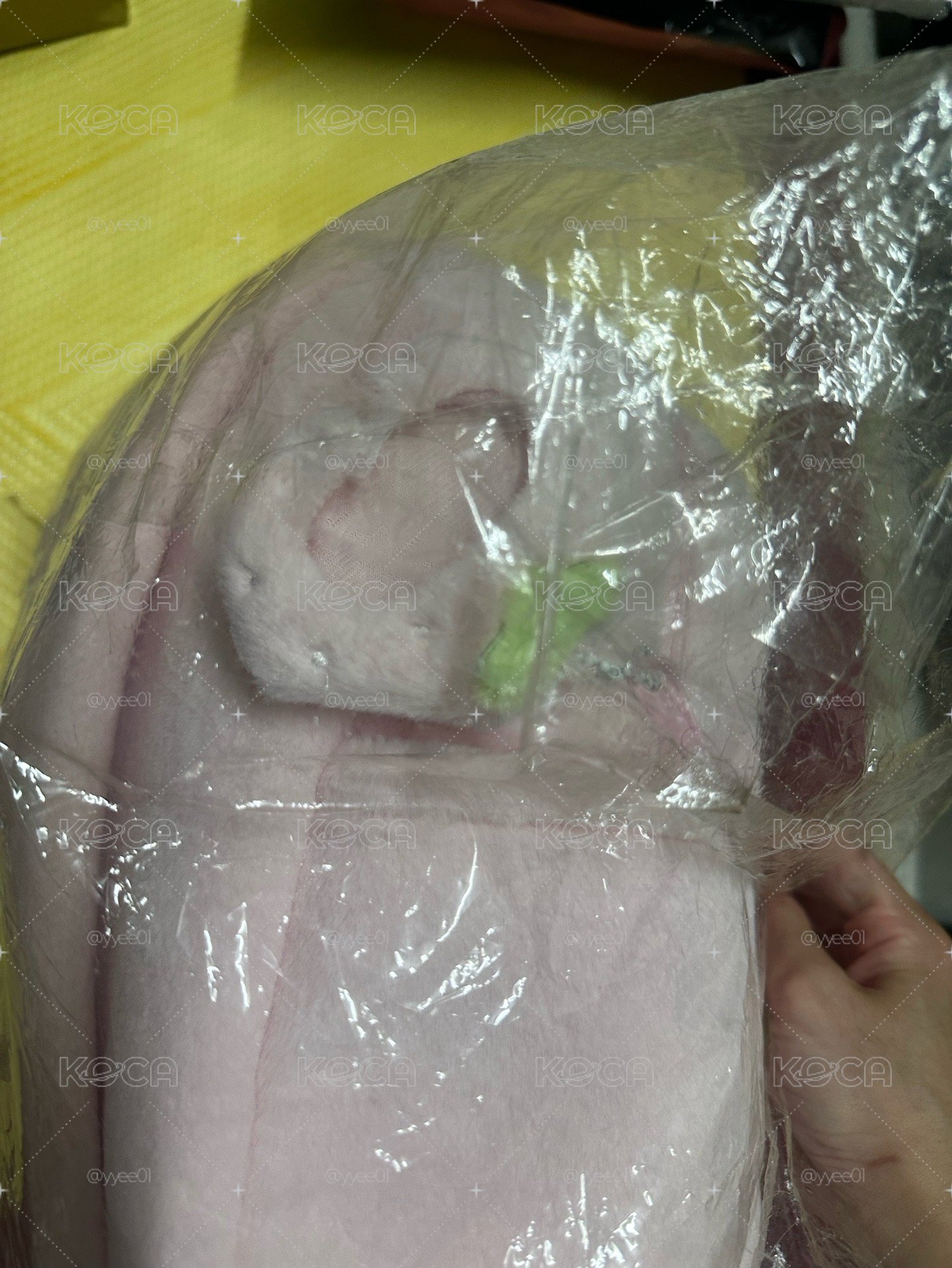 IVE 怜草莓包全新未拆