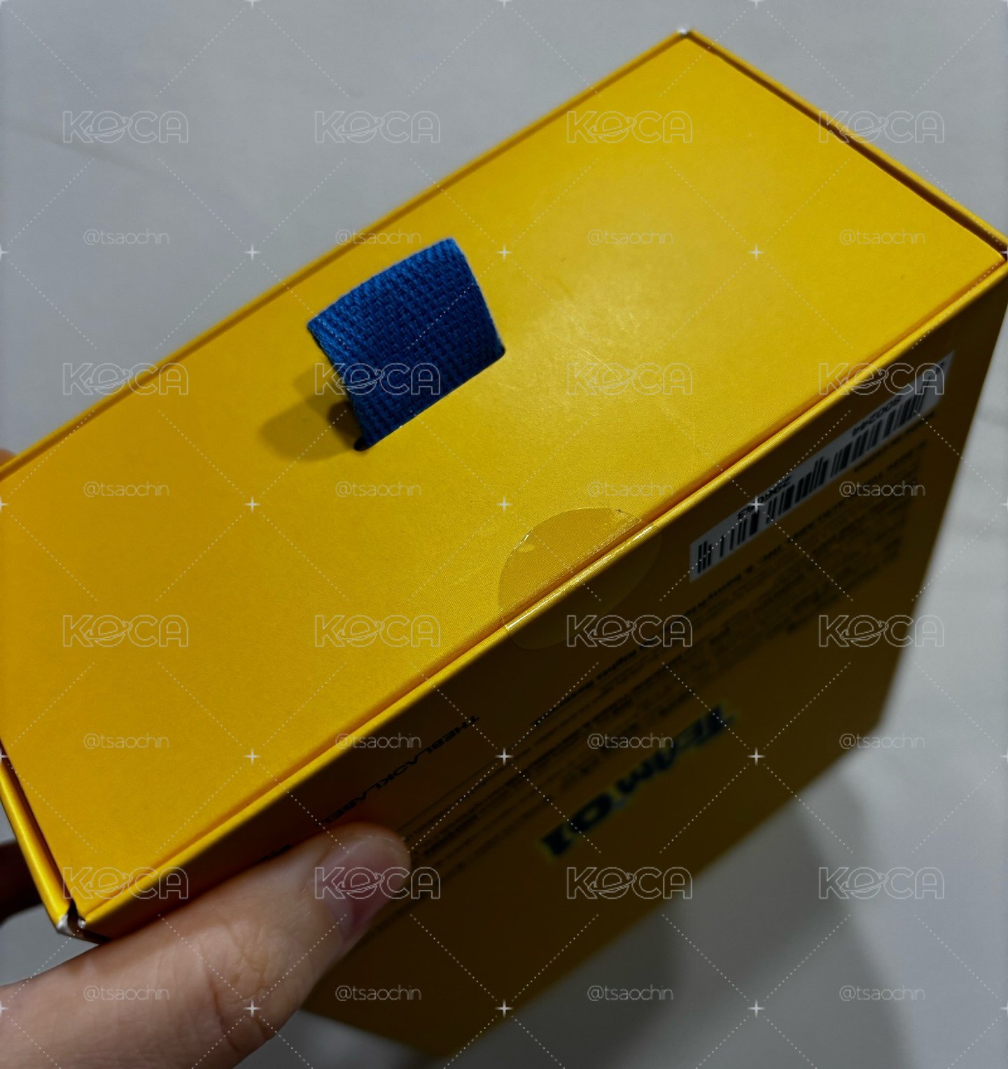 連高級大人都說真的很可愛，但不是他們躺垃圾桶就是我焚化爐，所以請喜歡他們的阿爸阿母快來帶他們回家吧