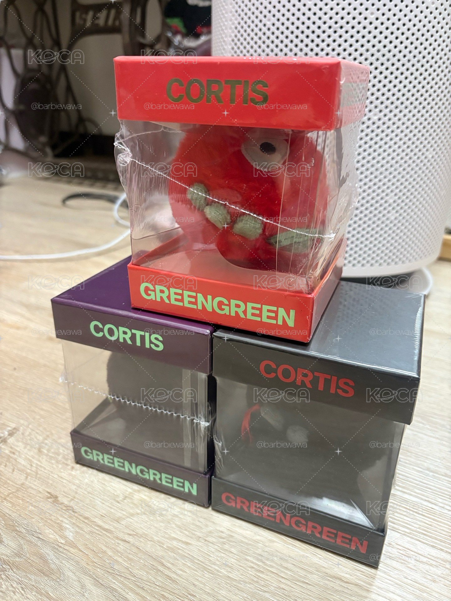 Cortis 球球