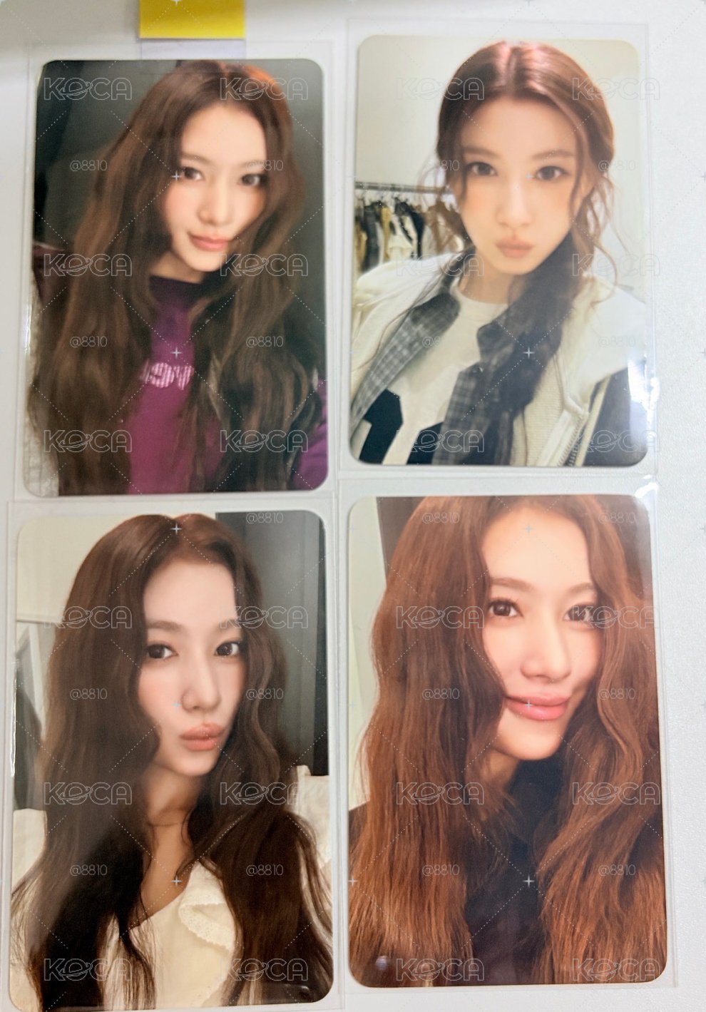 SANA COVERNAT代言卡