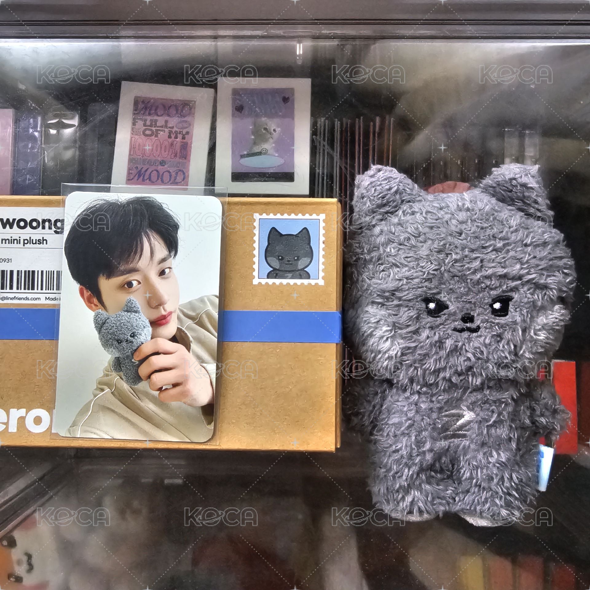 雄尼尼