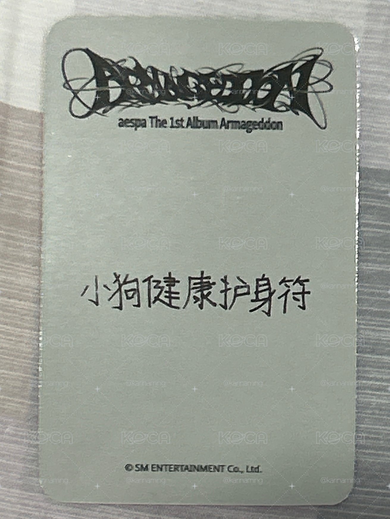 正規一 sr 特典卡 星河預售C冬