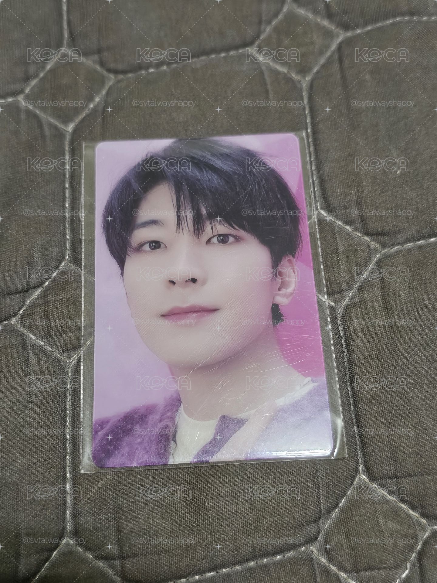 dream wvsjp 特典卡 圓佑