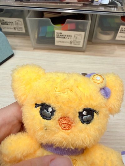 全新10cm