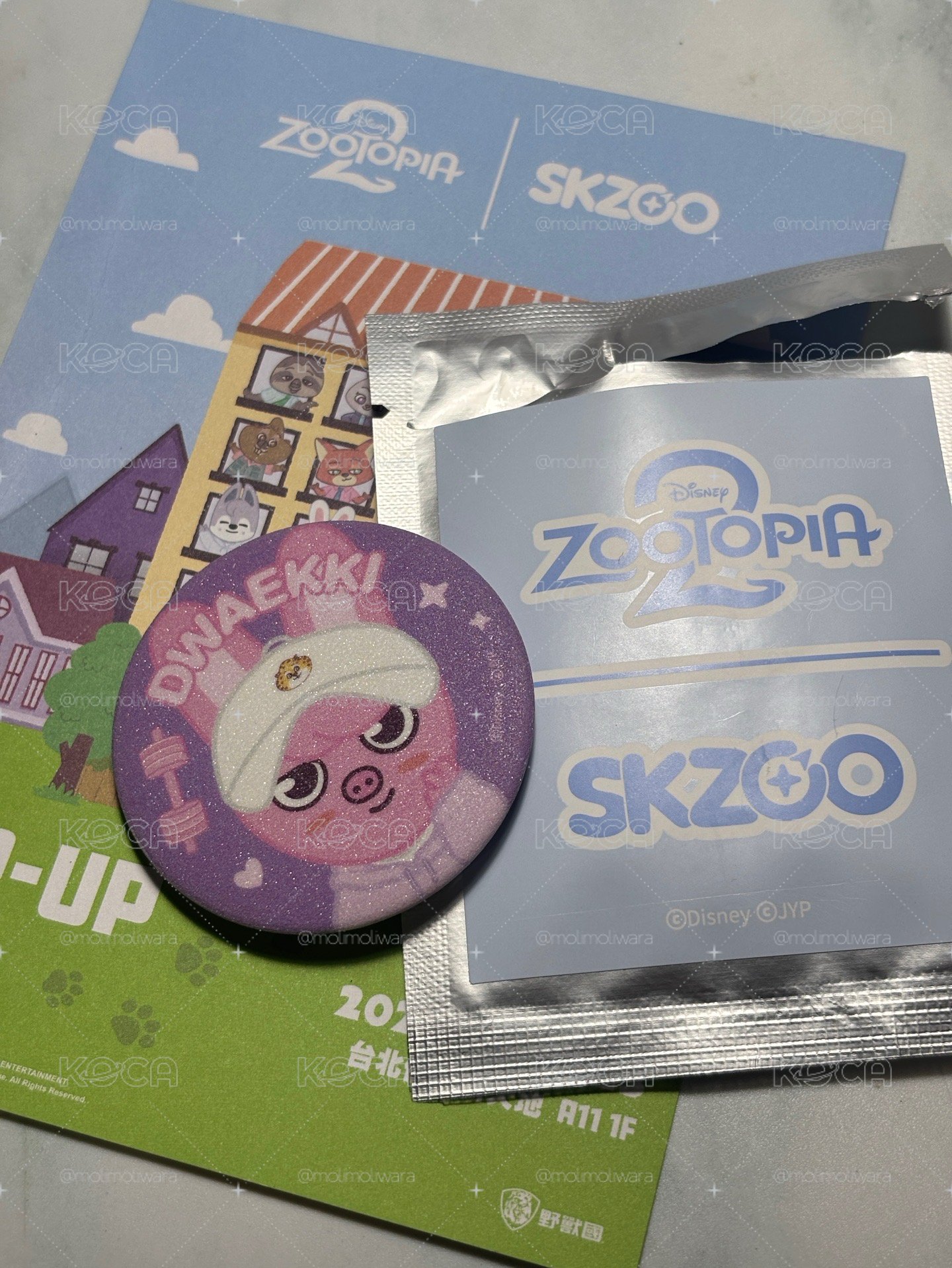 SKZOO徽章彬+送入場明信片