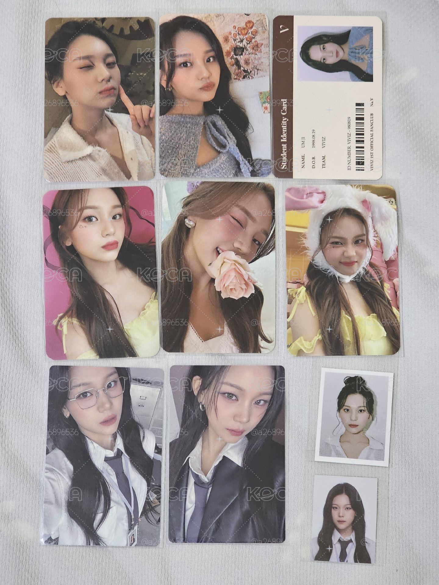 Viviz umji 歷屆會員禮卡