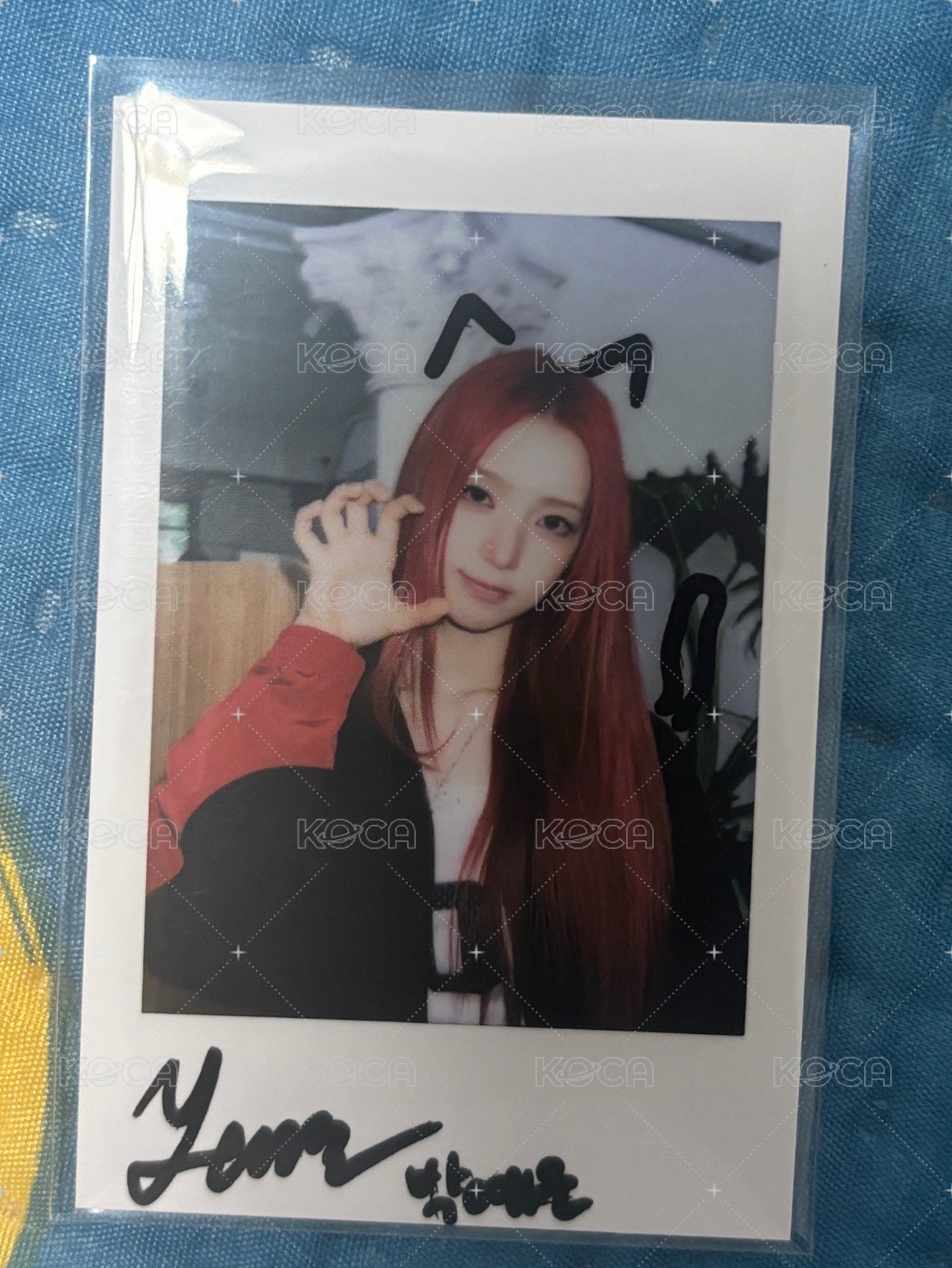 🐱