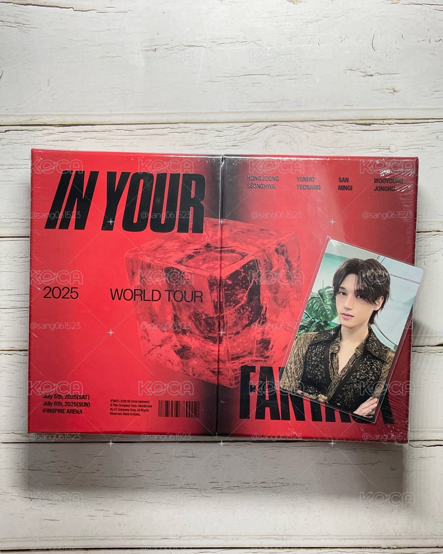 IN YOUR FANTASY DVD