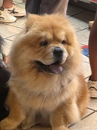 果醬(取件後請按完成訂單
