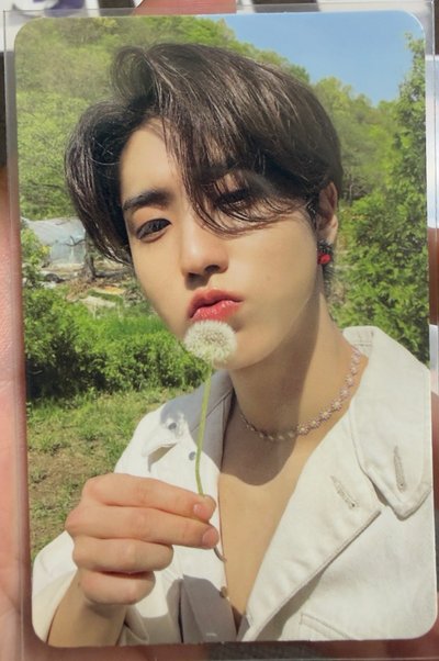 Stray Kids MAXIDENT專輯小卡
