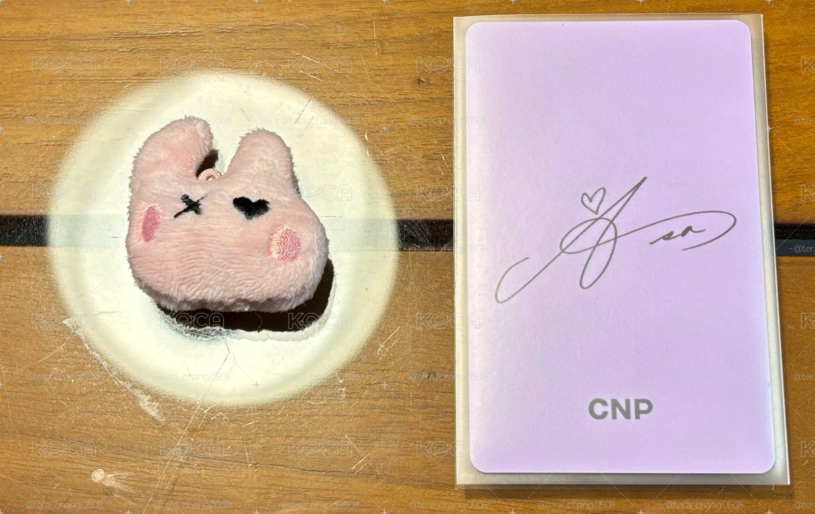 CNP1.0角