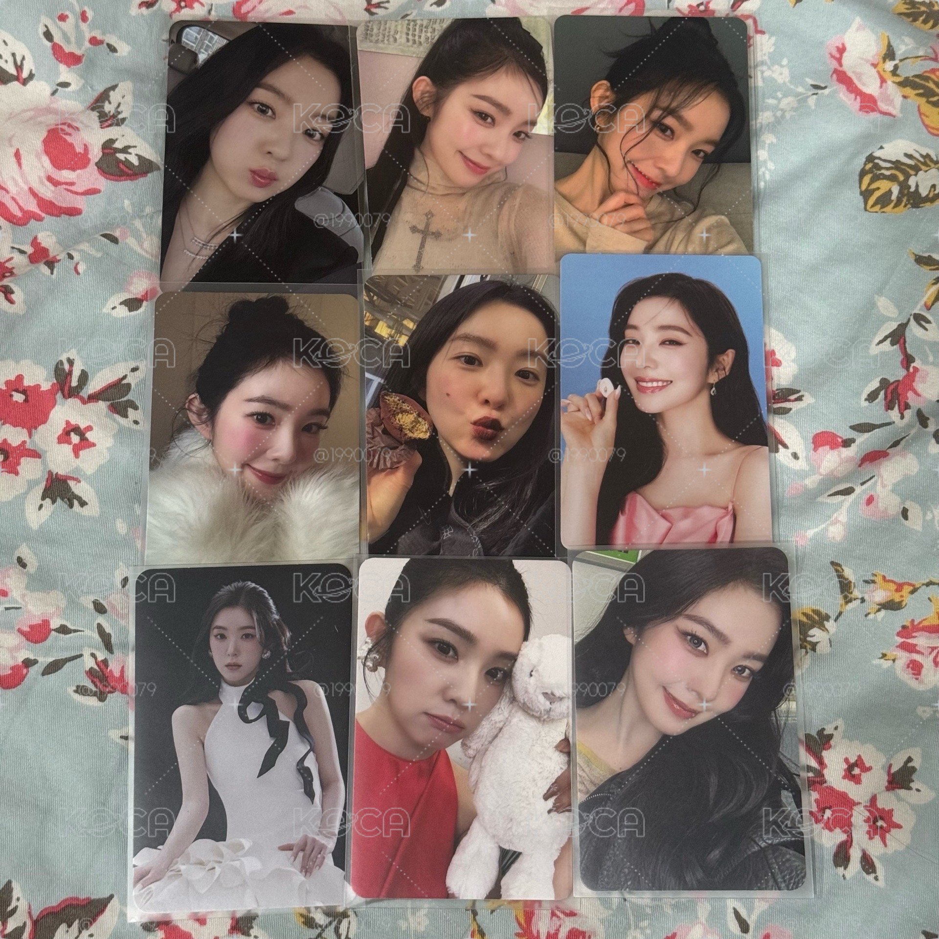 ⭐️🐰