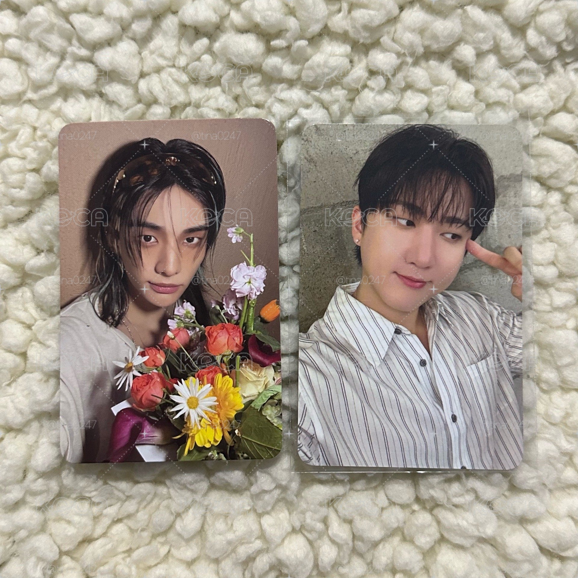 拿花辰+SW彬