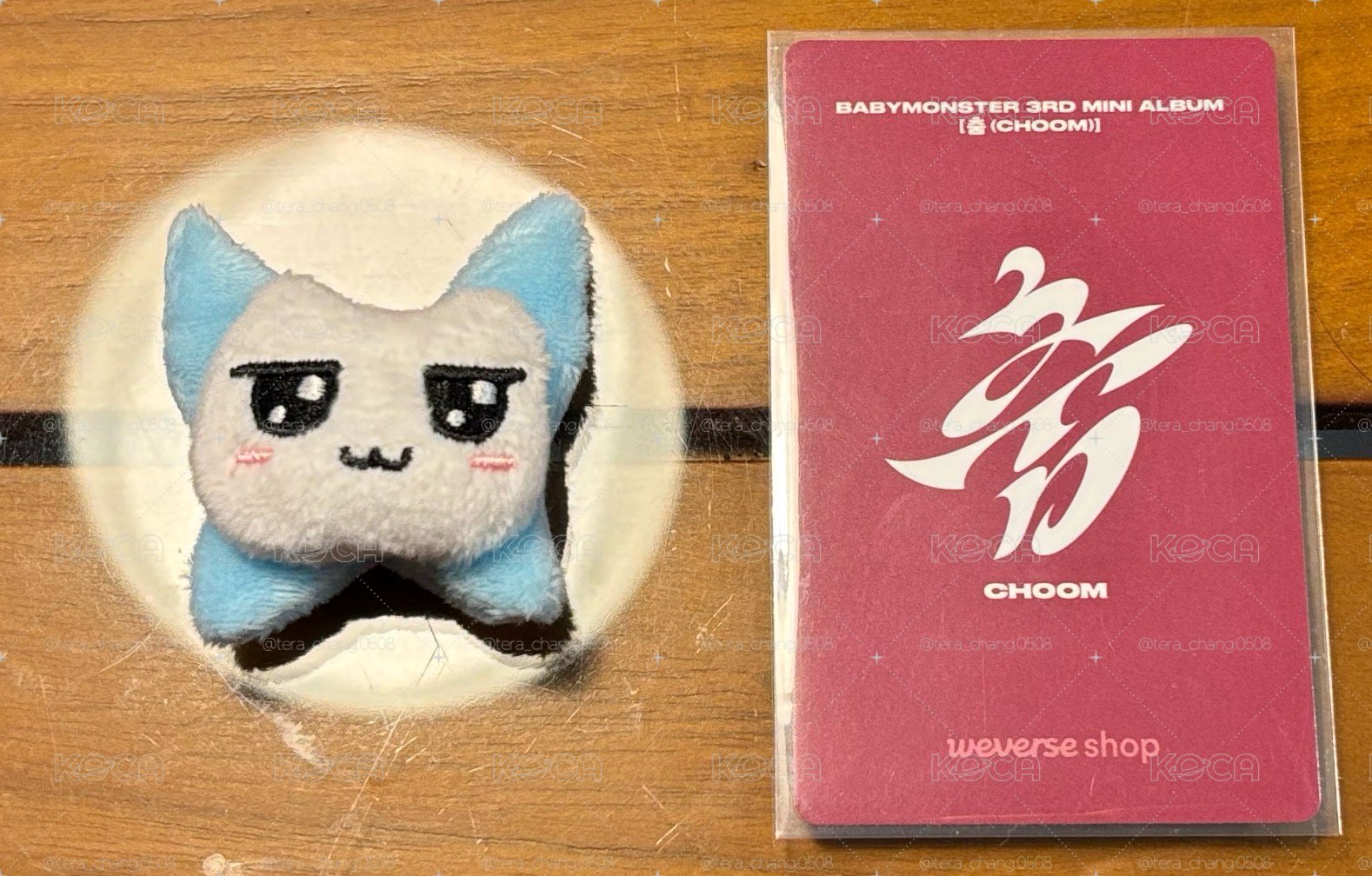 CHOOM WVS早鳥A賢
