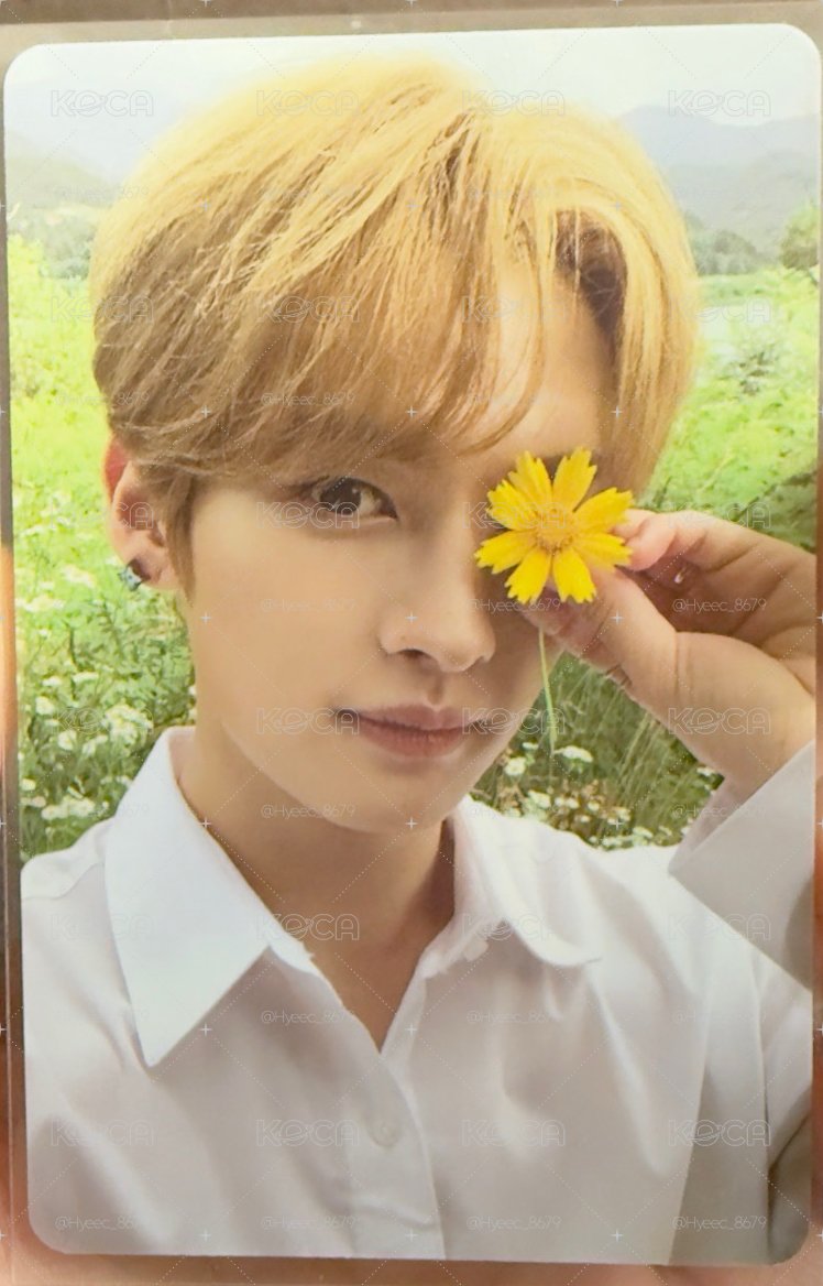 Stray Kids NOEASY 專輯小卡
