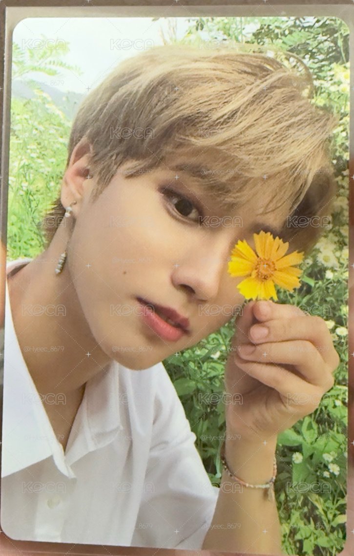 Stray Kids NOEASY 專輯小卡