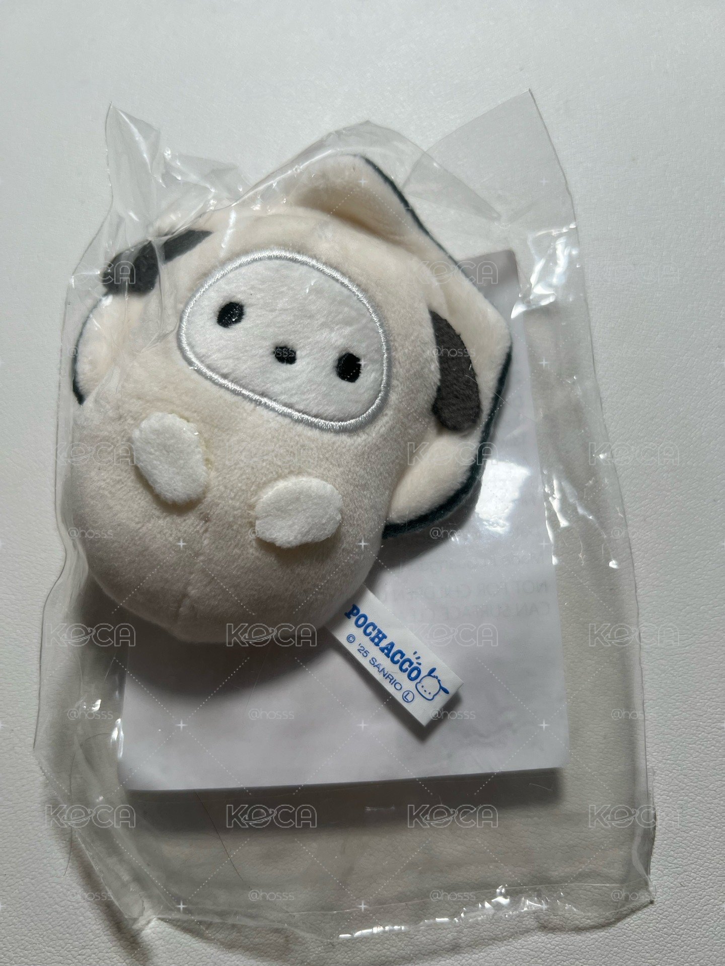牡蠣帕恰狗