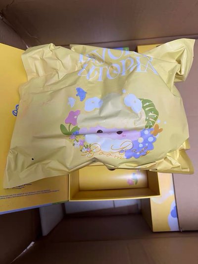 時代少年團三專棉花娃娃 20cm Night款（全套隨機未綁）