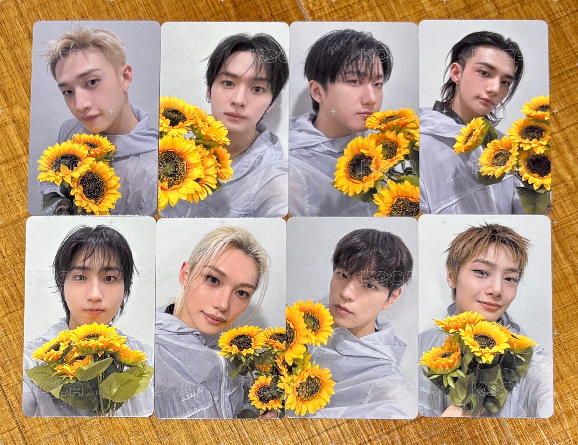 9/6名古屋場限