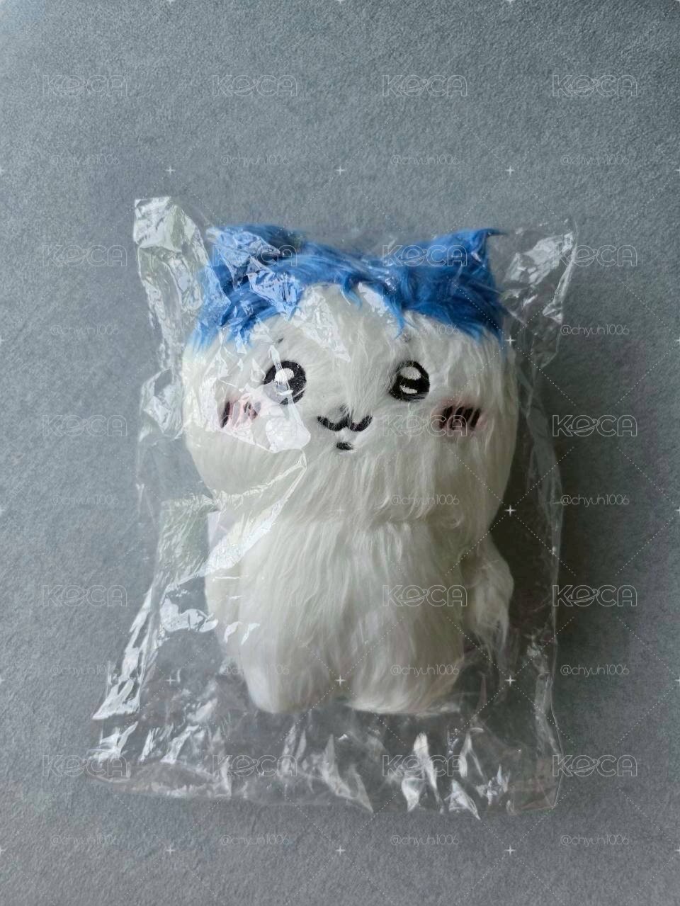 長毛小八
