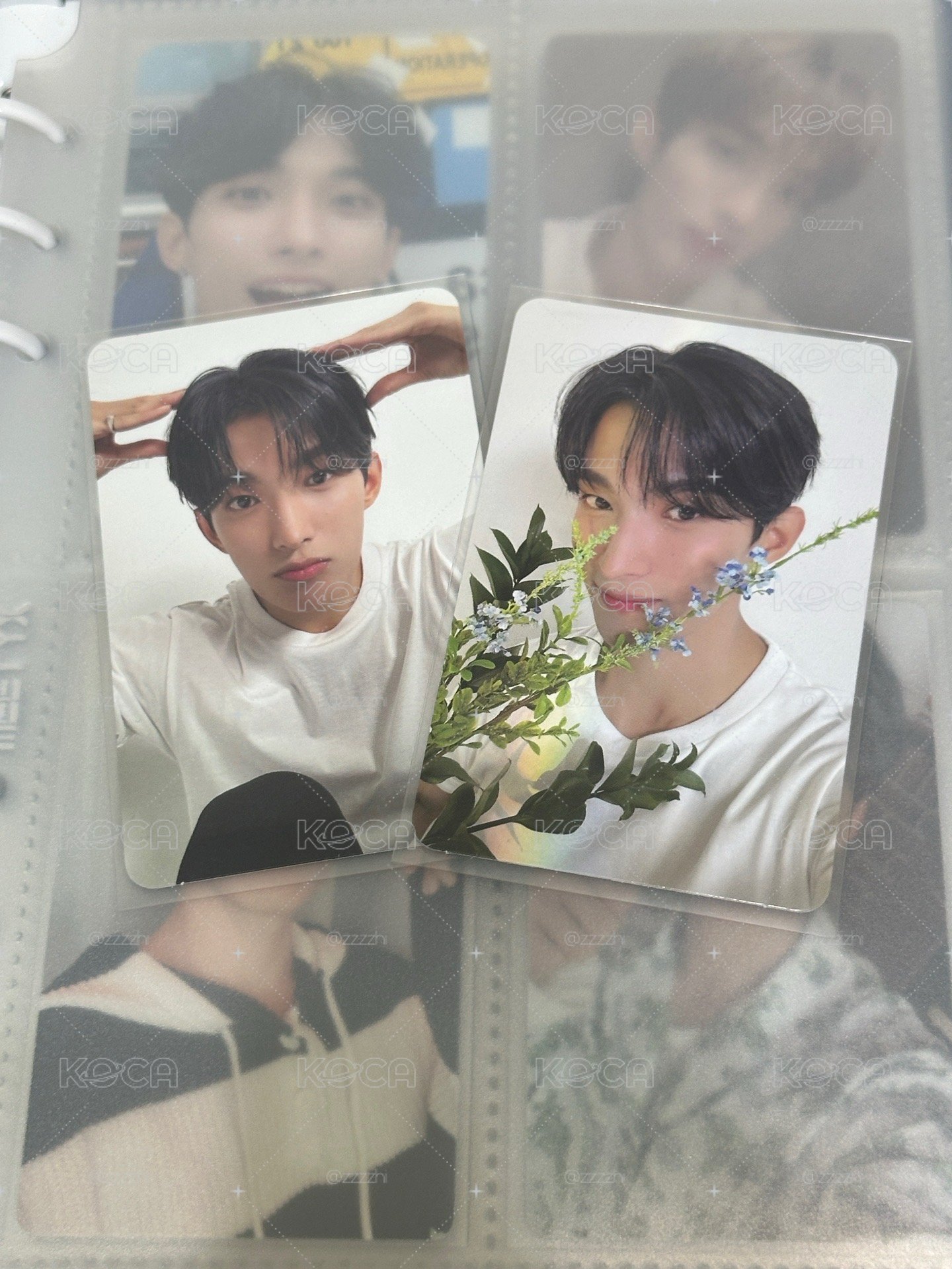 DK 狗狗碩小盤ೀ