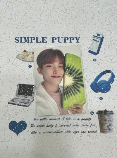 DK 狗狗碩小盤ೀ