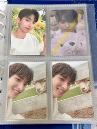 🐑