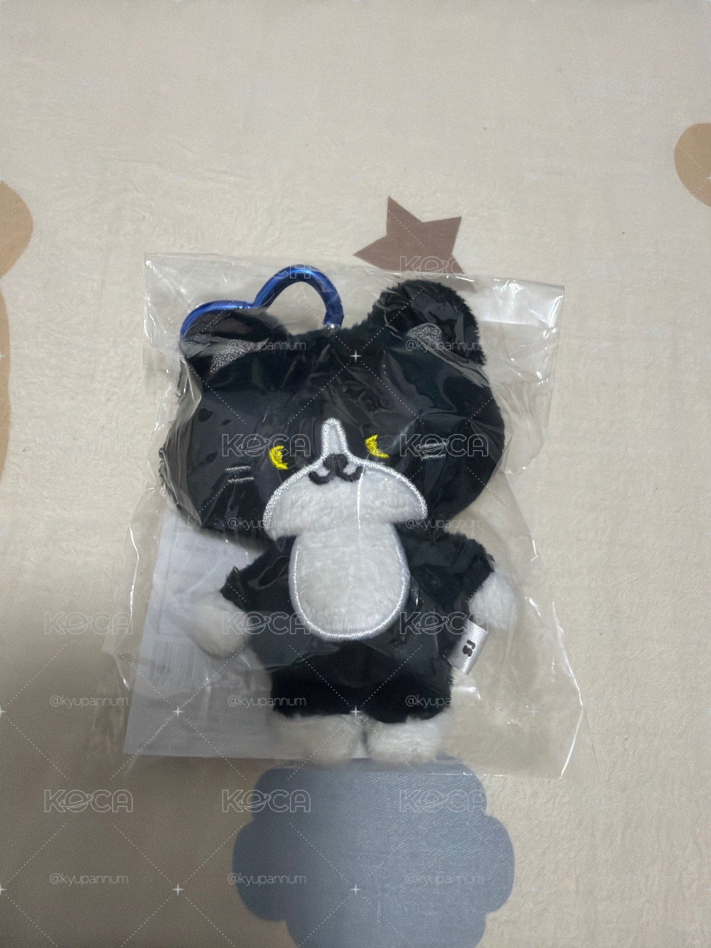 日巡雲貓（非全新）