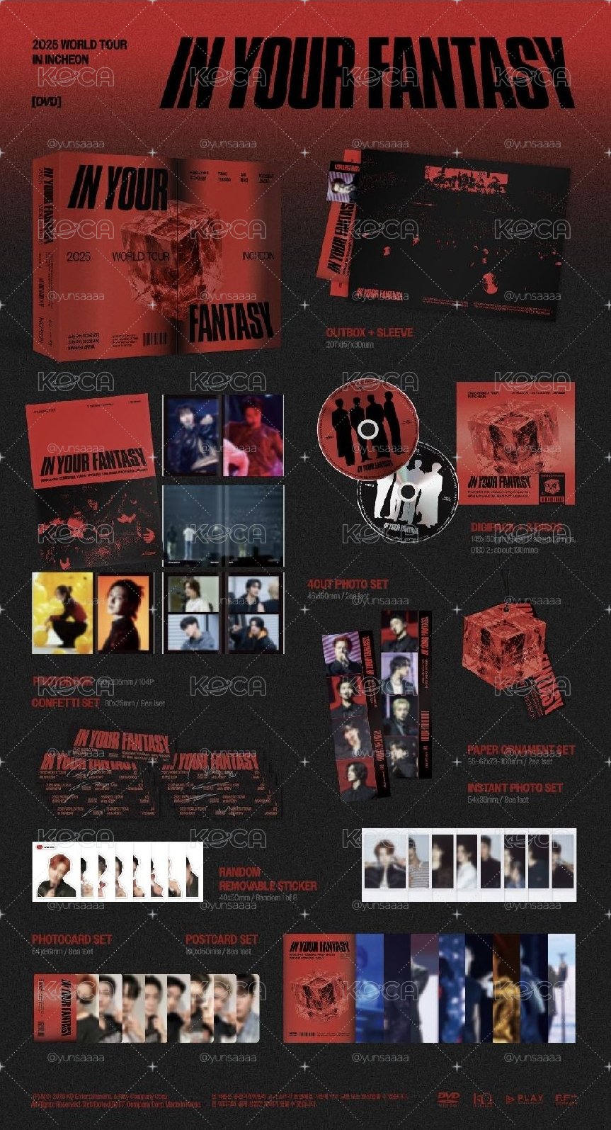 IN YOUR FANTASY 演唱會 DVD 
