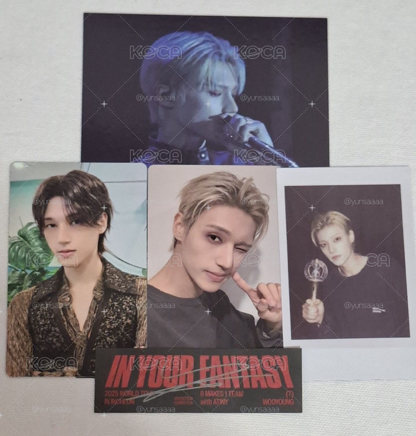 IN YOUR FANTASY 演唱會 DVD 