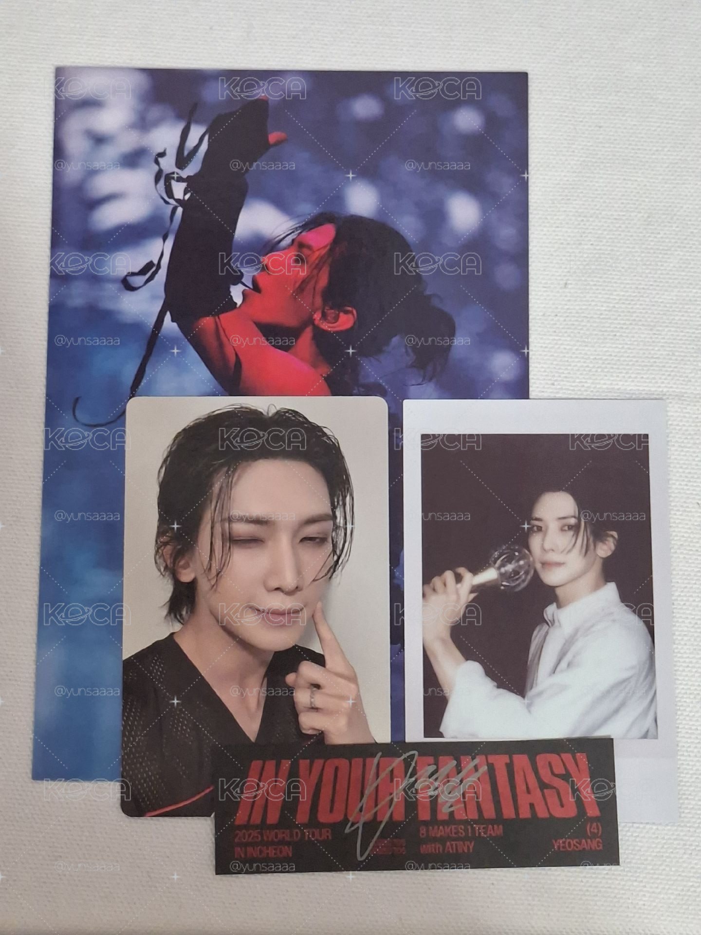 IN YOUR FANTASY 演唱會 DVD 