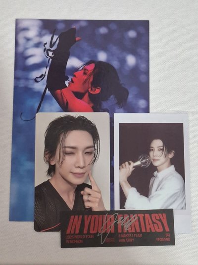 IN YOUR FANTASY 演唱會 DVD 