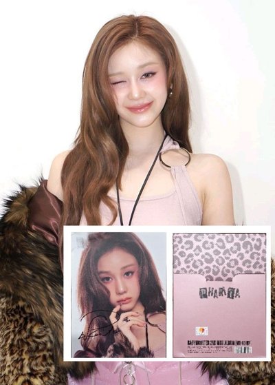 寶怪親簽專大盤🐼🦥🐬🦌🐈‍⬛🐰🦋