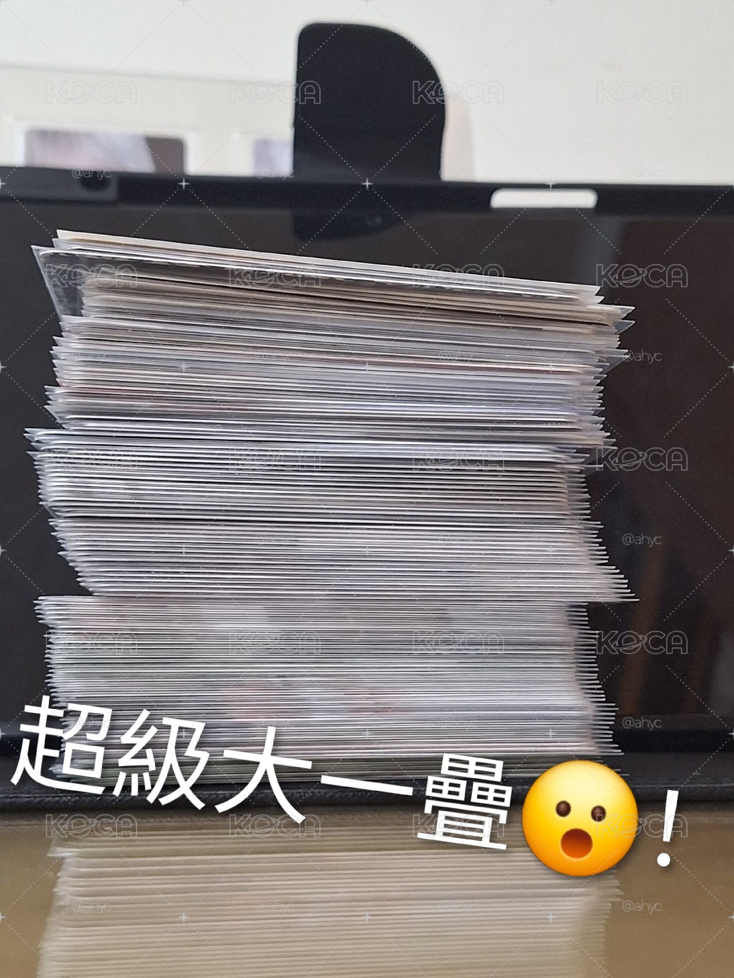 寶怪親簽專大盤🐼🦥🐬🦌🐈‍⬛🐰🦋